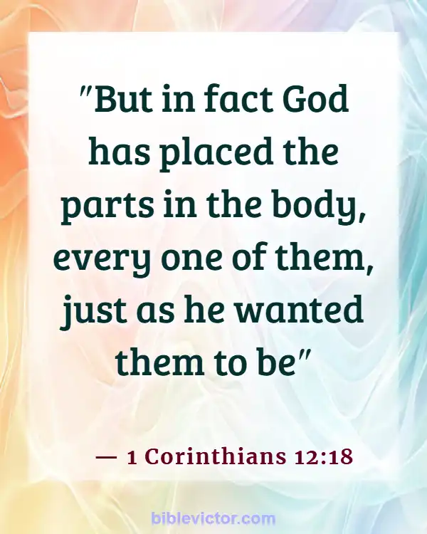 Bible verses About Body Of Christ (1 Corinthians 12:18)