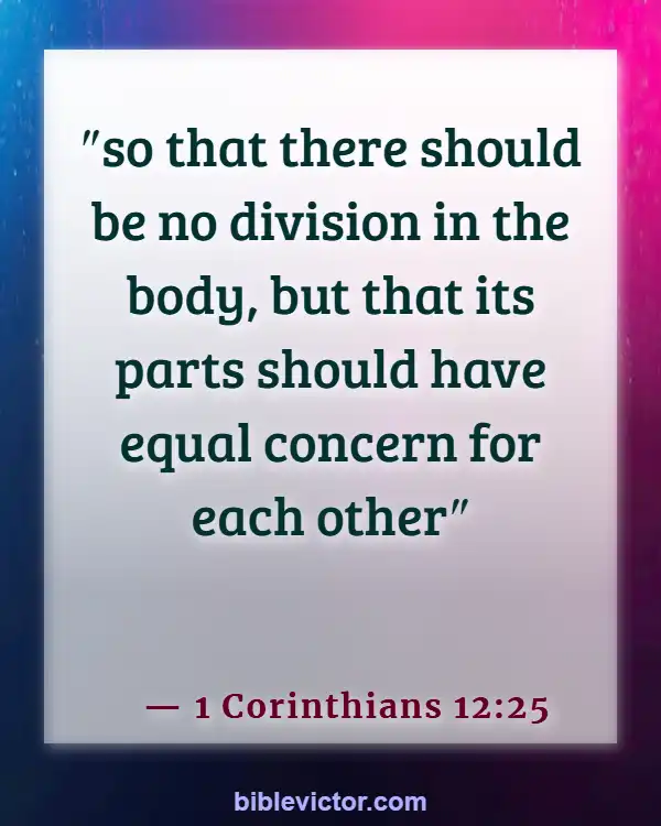 Bible verses About Body Of Christ (1 Corinthians 12:25)