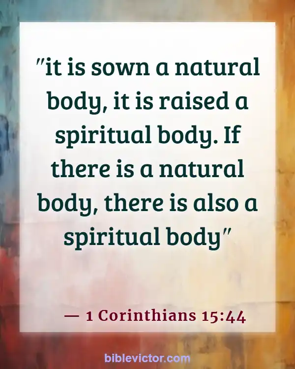 Bible verses About Body Soul And Spirit (1 Corinthians 15:44)
