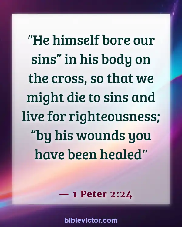 Bible verses About Atonement (1 Peter 2:24)