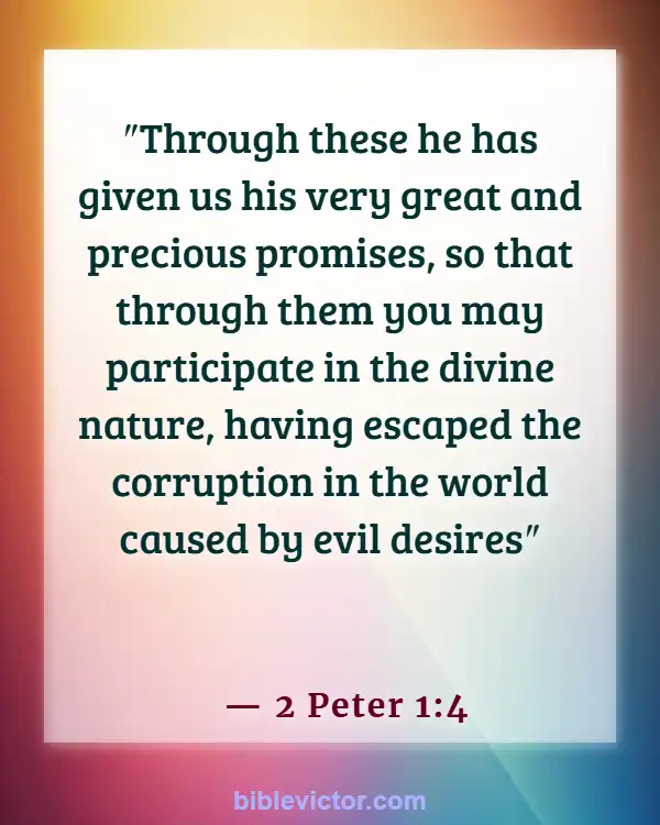 Bible verses About New Creation In Christ (2 Peter 1:4)