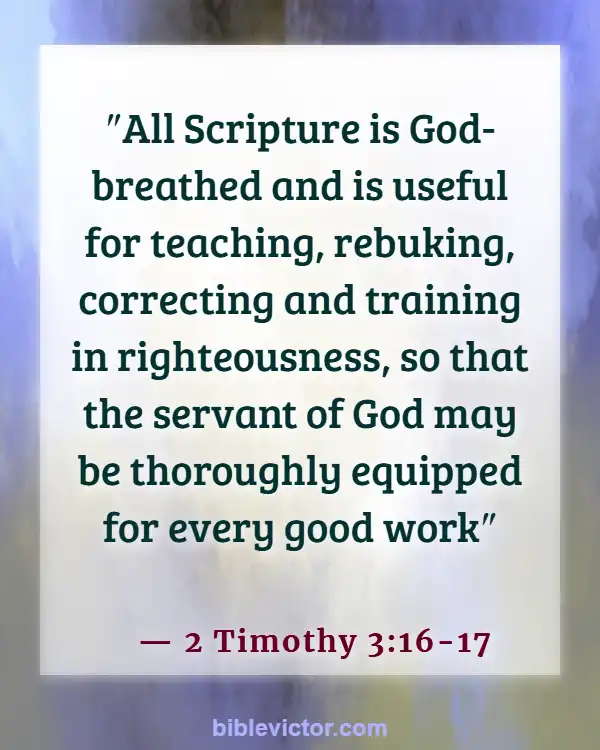 Bible verses About New Creation In Christ (2 Timothy 3:16-17)