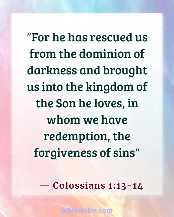 Bible verses About Forgiveness Of Sins (Colossians 1:13-14)