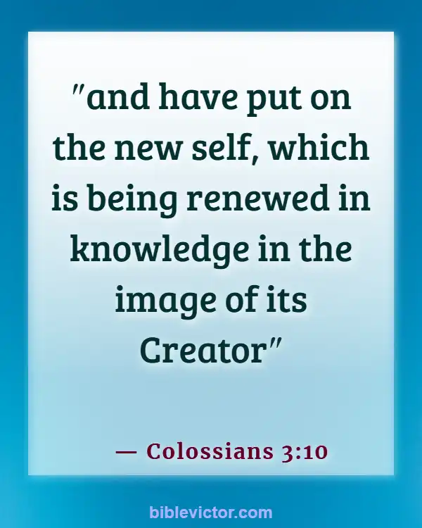 Bible verses About New Creation In Christ (Colossians 3:10)