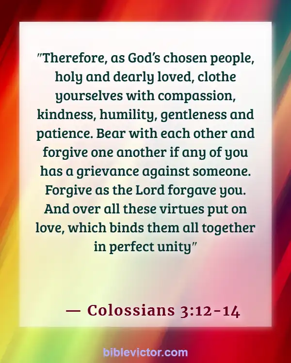 Bible verses About New Creation In Christ (Colossians 3:12-14)