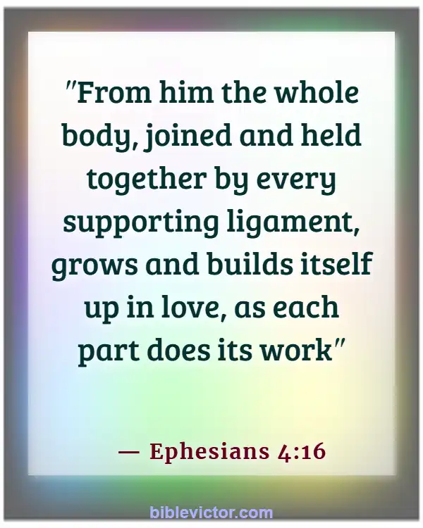 Bible verses About Body Of Christ (Ephesians 4:16)
