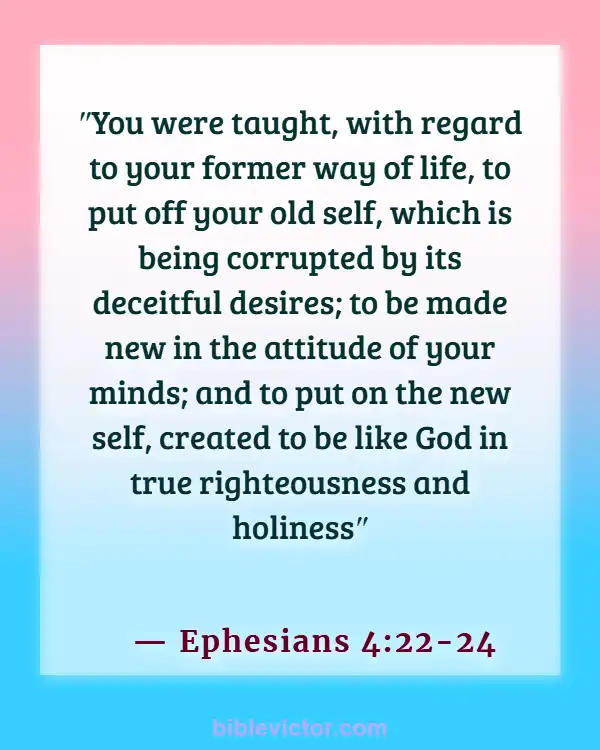 Bible verses About New Creation In Christ (Ephesians 4:22-24)