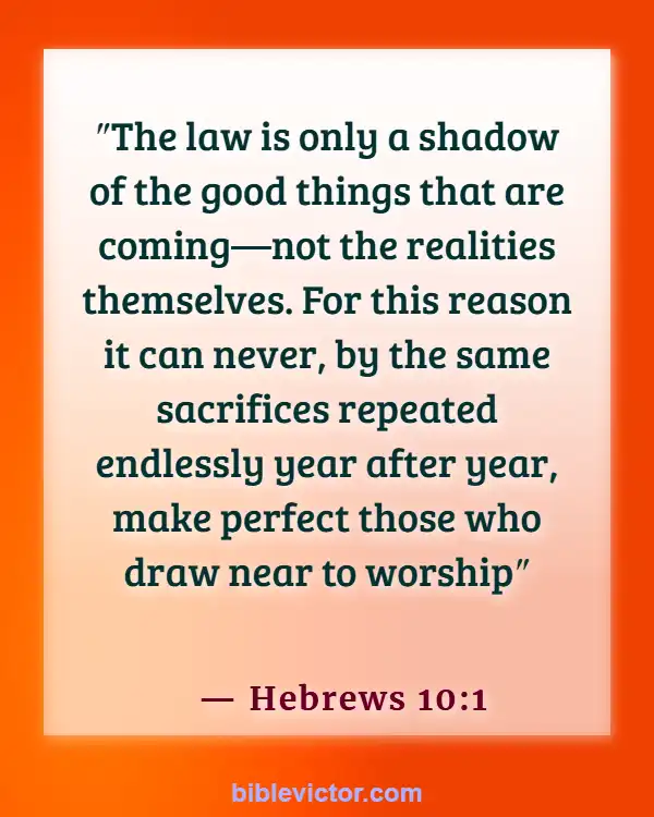 Bible verses About Purpose Of The Law (Hebrews 10:1)
