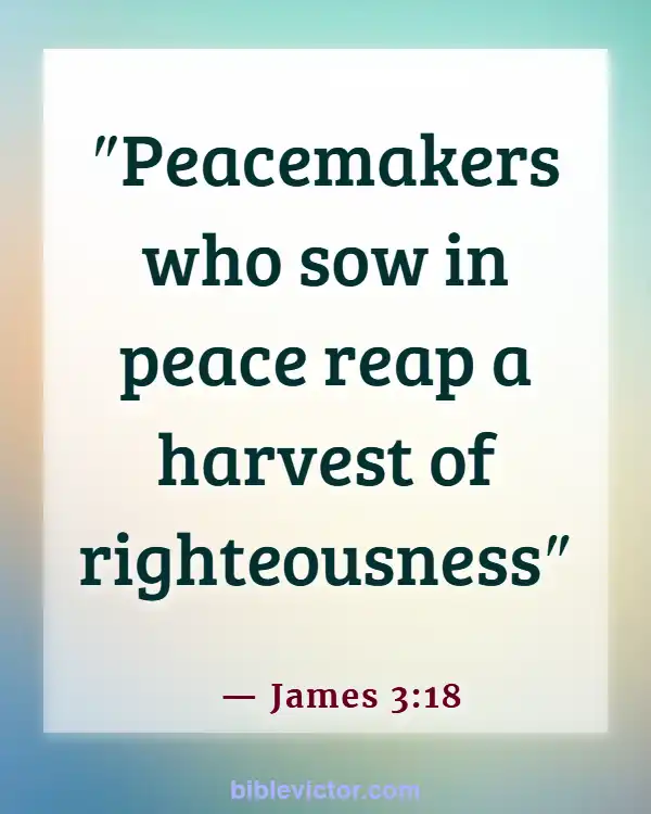 Bible verses About Peace Of Mind (James 3:18)