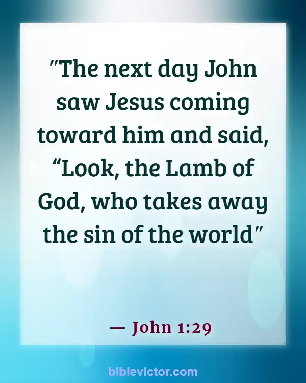 Bible verses About Forgiveness Of Sins (John 1:29)
