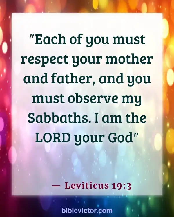 Bible verses About Honor Mother (Leviticus 19:3)