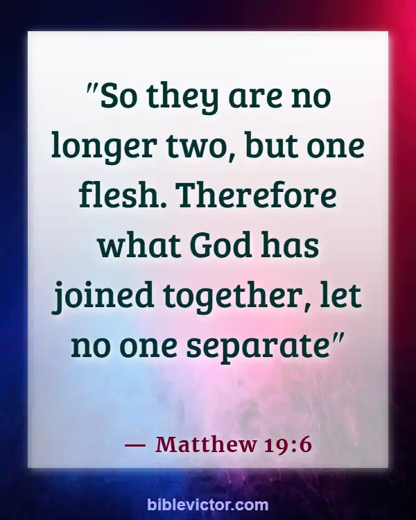 Bible verses About Boyfriends And Girlfriends (Matthew 19:6)