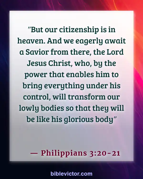Bible verses About Children Going To Heaven (Philippians 3:20-21)