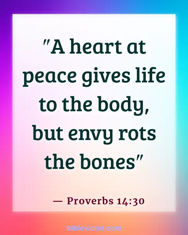 Bible verses About Peace Of Mind (Proverbs 14:30)