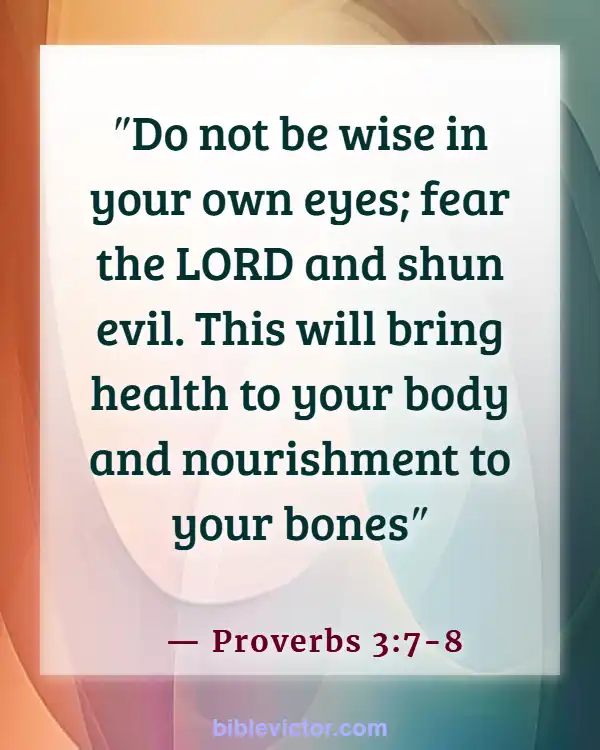 Bible verses About Body Soul And Spirit (Proverbs 3:7-8)