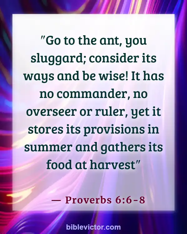 Bible verses About Handling Money (Proverbs 6:6-8)