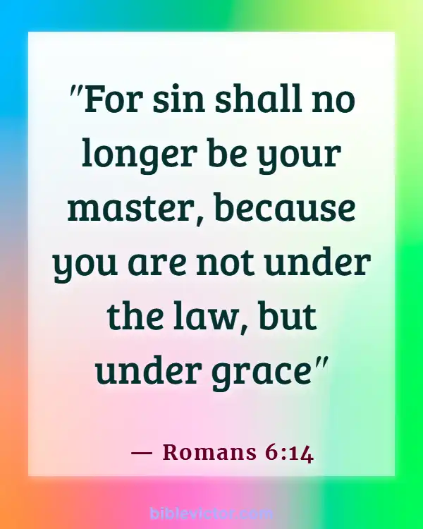 Bible verses About Purpose Of The Law (Romans 6:14)
