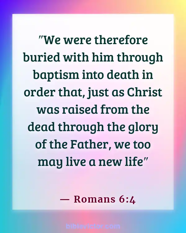 Bible verses About New Creation In Christ (Romans 6:4)