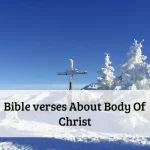 Bible verses About Body Of Christ