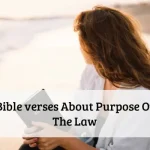 Bible verses About Purpose Of The Law