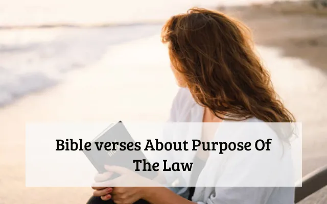 Bible verses About Purpose Of The Law